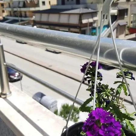 Ideal Vlore *